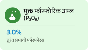 Frame 1000002065 (1)